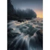 Komar Vliestapete »Cry Of The Sea«, Breite 200 Cm, Seidenmatt 5