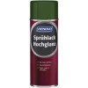 RENOVO Sprühlack Hochglänzend, Grün RAL 6002 5