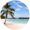 shop in deutschland K&L Wall Art Vliestapete »Runde Vliestapete«, Colombo Strand Urlaub Malediven, Mehrfarbig, Matt 5