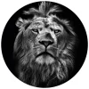 K&L Wall Art Vliestapete »Runde Vliestapete«, Safari König Löwe Waldtiere Tiere, Mehrfarbig, Matt outlet online bestellen 5